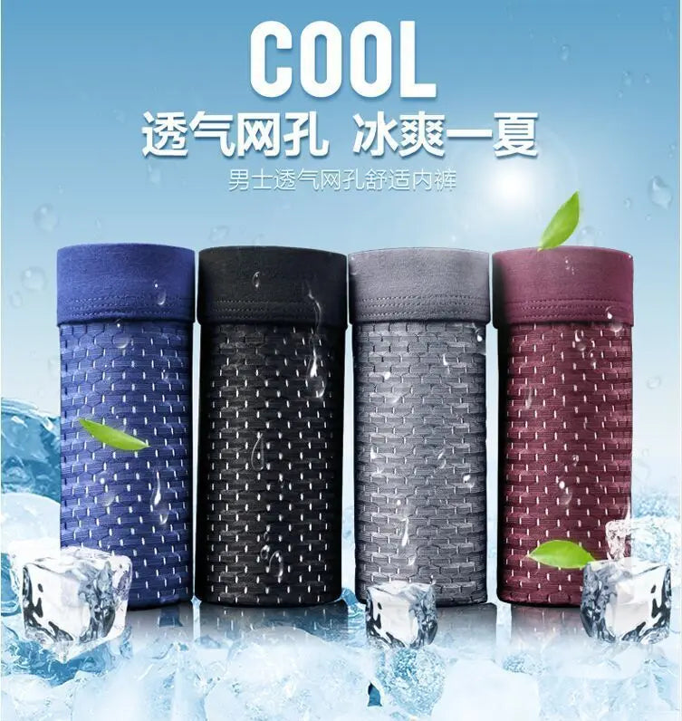 بوكسرات بامبو