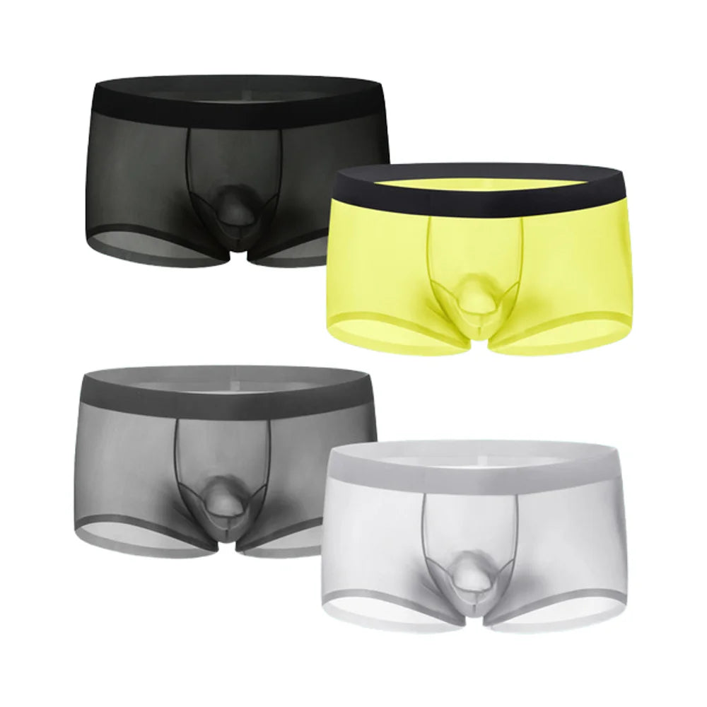 Men Transparent Boxers