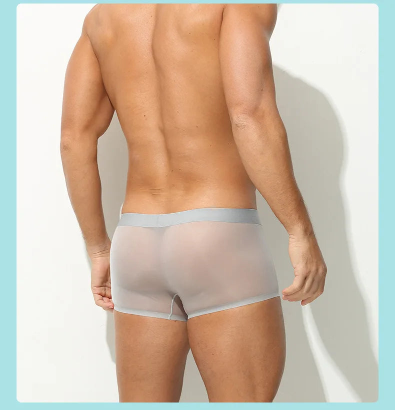 Men Transparent Boxers